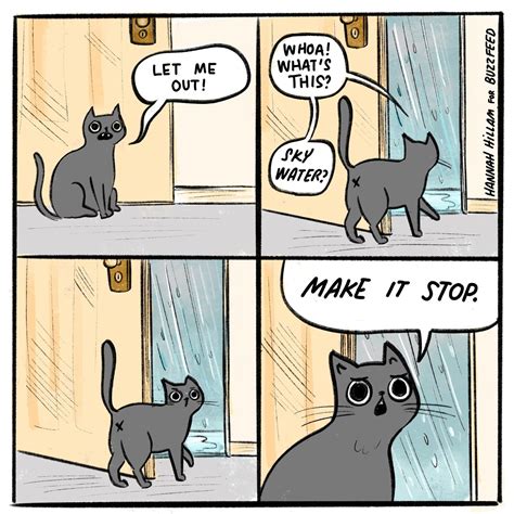 52 Memes That Will Make You Wonder Why You Ever Got A Cat Cat Comics