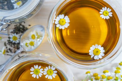 El té de manzanilla, es reconocido por sus beneficios medicinales y ayuda en la belleza, esta flor es parecida a la margarita y tiene un potente aroma. Té de manzanilla: propiedades y beneficios | ActitudFem
