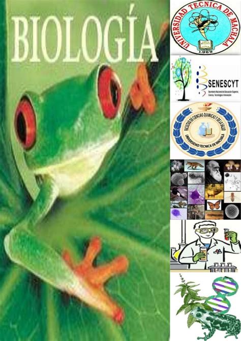 Portada De Biologia Dibujadas BiologÍa En 2020 Portada De Cuaderno