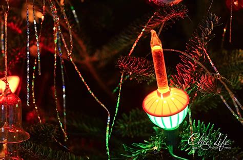 Christmas 2014 in Photos - The Chic Life