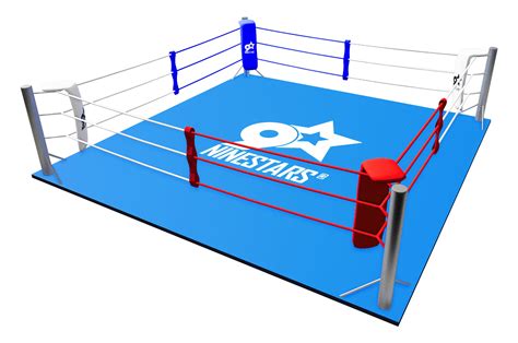 Boxing Ring Customizable With Full Floor Dragonsportseu