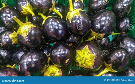 Stack Of Indian Eggplant Or Bengan Or Brinjal Stock Photo Image Of