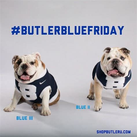 Want to know more about the frenchie dog? Butler Bulldogs | Bulldog, Butler bulldogs
