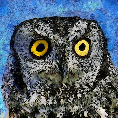 A Starry Night Owl Digital Art By Ernie Echols