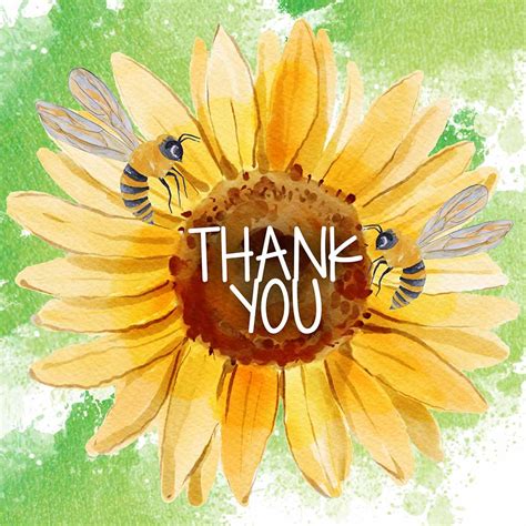 Sunflower Thank You Ecard Send A Charity Card Birthday Anniversary