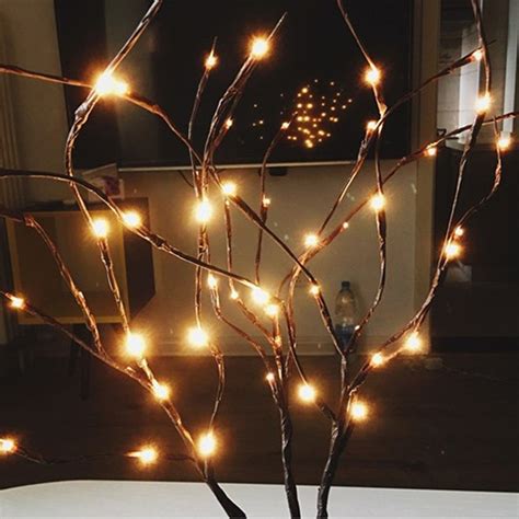 Wonderful Lighted Willow Branches
