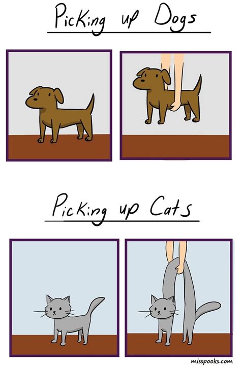 Please leave your rating so we can provide you the most popular pickup lines. Picking up Dogs Vs Cats | MyConfinedSpace