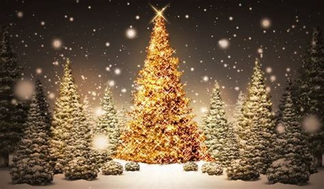 Bing Images Christmas Wallpaper Santa Banta High