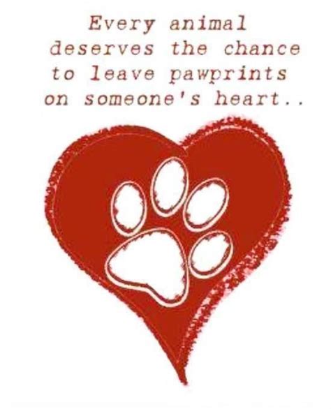 Rescuedog Dog Itsarescuedoglife Paw Print Dog Love Animal Quotes