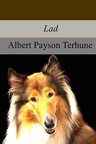 Lad A Dog Paperback By Albert Payson Terhune New Paperback 2017