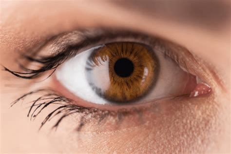 Behind These Hazel Eyes Adelaide City Optometrist