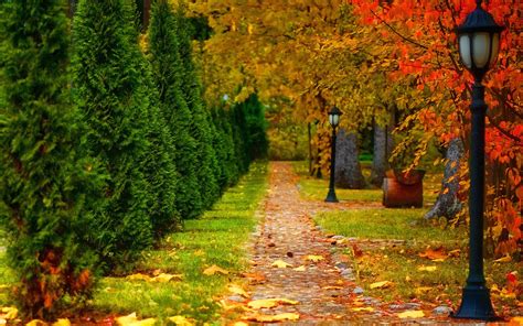 Free Download Hd Wallpaper Park Autumn Road Trees Lantern