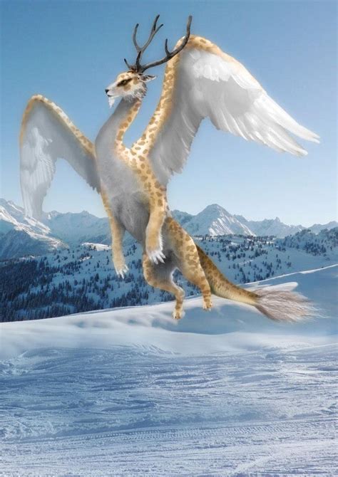 Snow Ice And Frost Dragons Dragon Pictures Snow Dragon Mythological