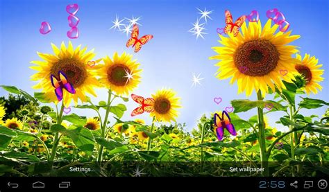 3d Sunflower Wallpaper Screen Lock Sensor Auto Apk For Android Download
