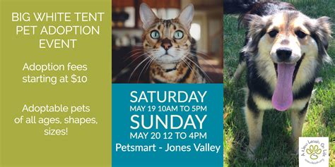 During your adoption appointment, you will be allotted 30 minutes to meet animals and 30 minutes to complete the counseling and paperwork portion of the adoption. Pet Adoption Events Near Me This Weekend - Pet's Gallery