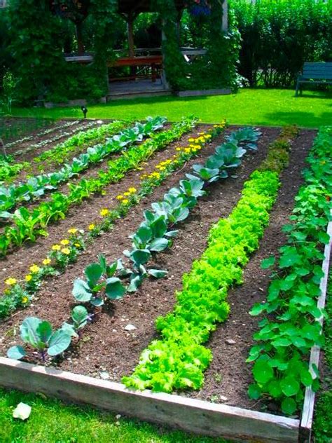 This attractive and productive vegetable garden is sure to up your curb appeal. Perfect Backyard Vegetable Garden Design Plans Ideas ...