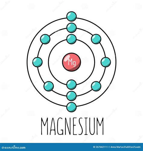 Magnesium Atom Bohr Model Cartoon Vector Cartoondealer Com