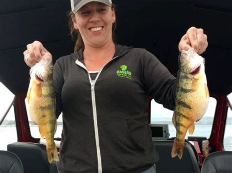 Perch Bite Still On At Flathead Lake Montana Hunting And Fishing