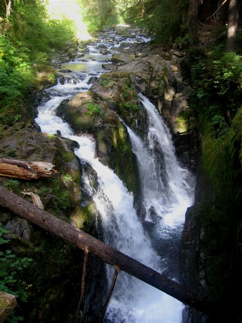 Olympic National Park Washington State Waterfalls Flickr