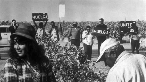 5 Latino Led Labor Strikes That Championed Rights For American Workers