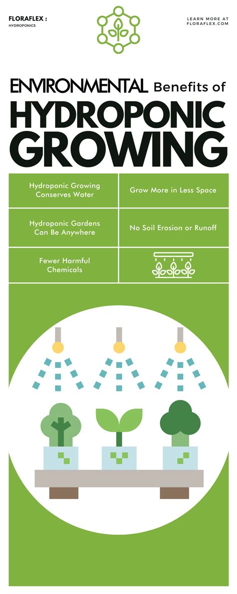 Environmental Benefits Of Hydroponic Growing Blog