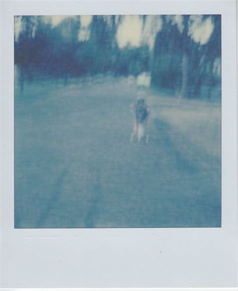 Lola Colour Polaroid Sx 70 Alpha 1 Impossible Px70 Color S Flickr