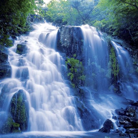 Nature scenery wallpaper for wall. Nature Scenery - Wall Mural & Photo Wallpaper - Photowall