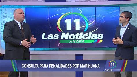 Buscan Consultar Al Pueblo Sobre El Uso Del Cannabis Teleonce Tv Vívelo