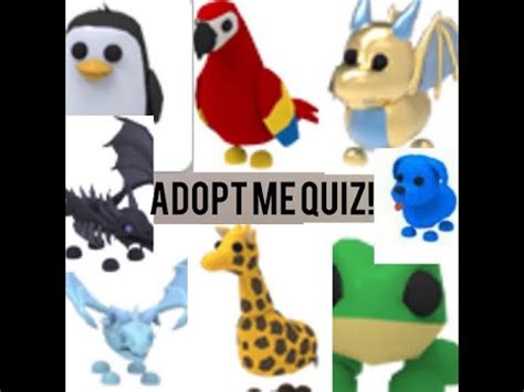 And you would like to test your knowledge on roblox adopt me to see how much answers you get them correct. How addicted are you to adopt me? -Adopt me quiz - YouTube