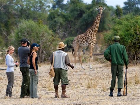 Zambia Wildlife Holiday The Luangwa Valley Responsible Travel