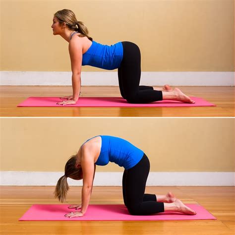 Cat Cow Pose Yoga Poses For Upper Back POPSUGAR Fitness Photo 2