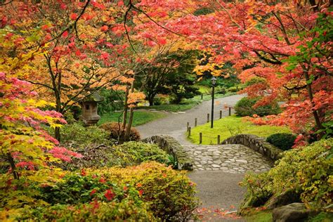 Where To See Gorgeous Fall Foliage In Washington State Seattle
