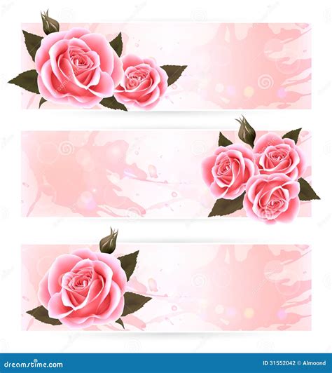 Three Holiday Banners With Pink Beautiful Roses Stock Photography