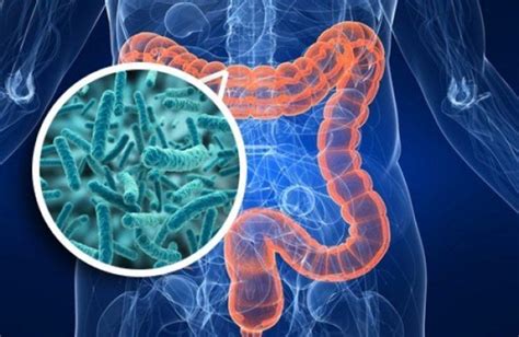 9 señales de alerta de que tienes parásitos intestinales Lo que nadie