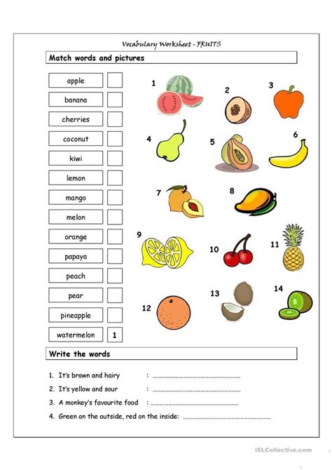 Vocabulary Matching Worksheet Fruit Worksheet Free Esl Printable