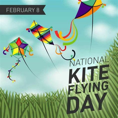 February 8 Kite Flying Kite Flyer Go Fly A Kite
