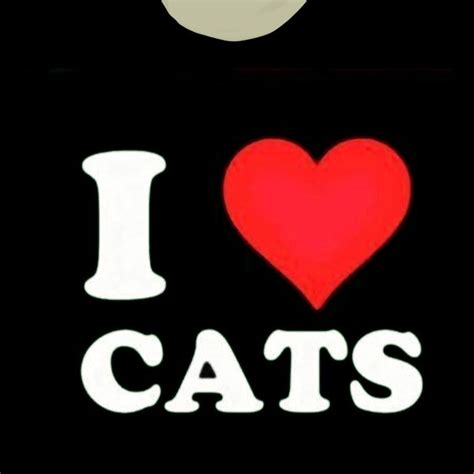 T Shir Roblox I Love Cats Fotos De Garotas Tumblr Imagens De Camisas Roblox