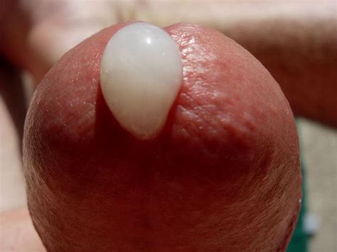 Thick Penis Ejaculation Close Up