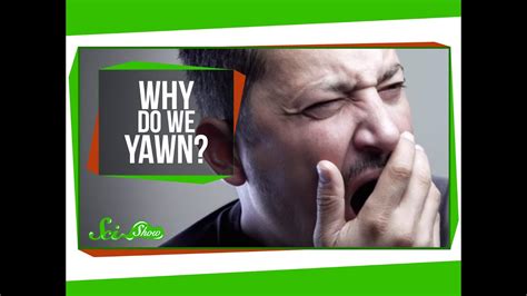 However, a number of experiments were run to test this theory in the 1980s, and all of them concluded that this is. Why Do We Yawn? - YouTube