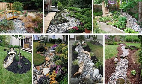 15 Stunning Dry Creek Landscaping Ideas That You Will Love