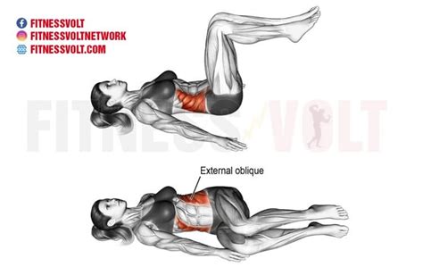 How To Do Lying Bent Knee Oblique Twist Obliques Fitness Volt