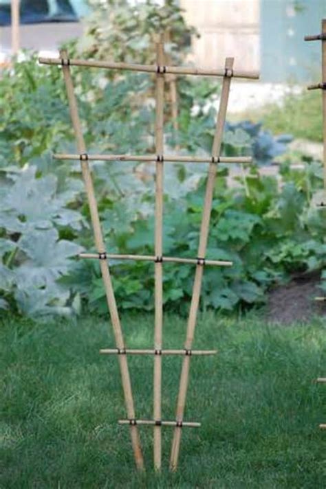 How To Build A Bamboo Garden Trellis Frugally Dengarden
