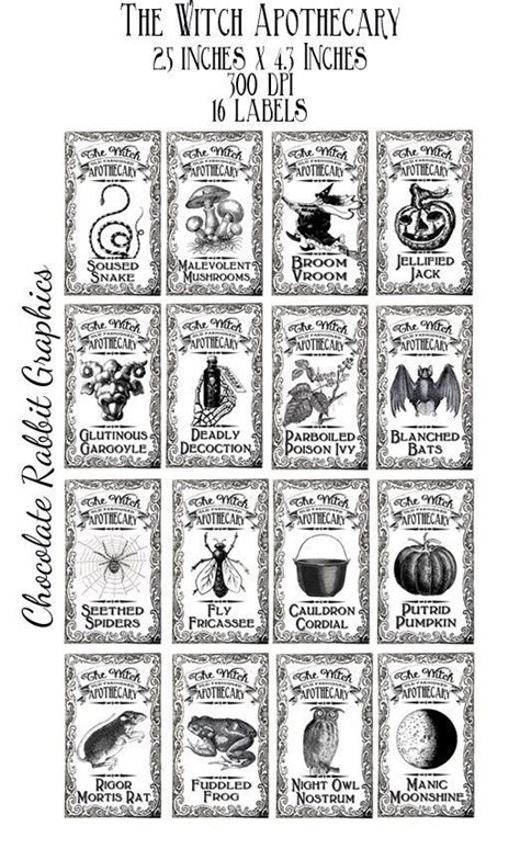 Halloween Witch Apothecary Potion Labels Digital Download Bottle Jar