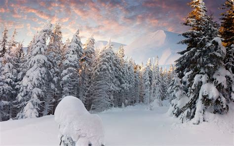 winter, Nature, Snow, Beautiful, Lovely, Landscape ...