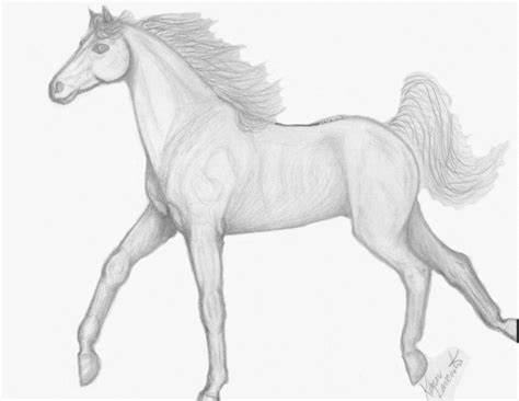splave: Easy Horse Drawings In Pencil