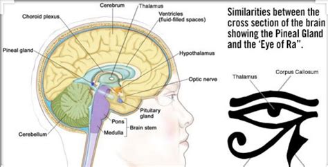 Maybe you would like to learn more about one of these? Pin on See God Face To Face