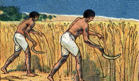 ancient egyptian farmers hot sex picture