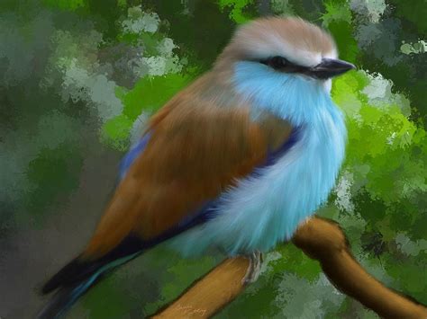 Blue Breasted Bird Painting By Bruce Nutting Fine Art America