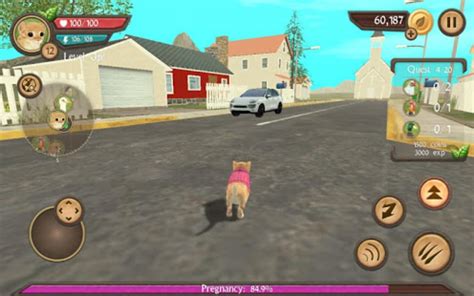 Cat Sim Online Play With Cats Apk For Android Download