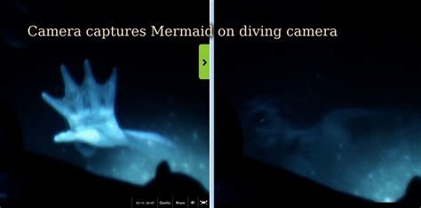 Animal Planet Special New Evidence Of Mermaids Real Life Mermaids